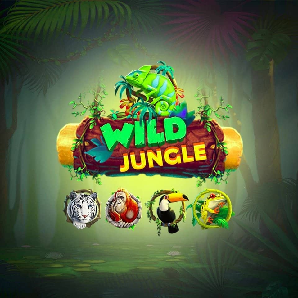 Como ganhar na blaze double