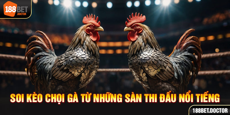 Sportingbet eleições 2022